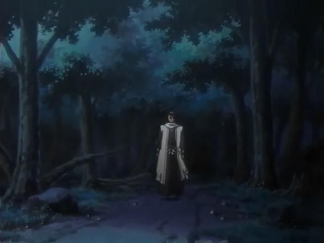 Otaku Gallery  / Anime e Manga / Bleach / Screen Shots / Episodi / 095 - Byakuya prende il campo - Ballo del vento dei fiori di ciliegio / 014.jpg